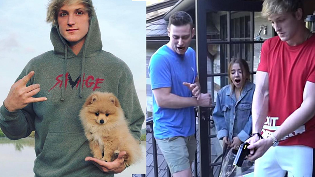 Logan Paul elchockar råttor på Youtube.
