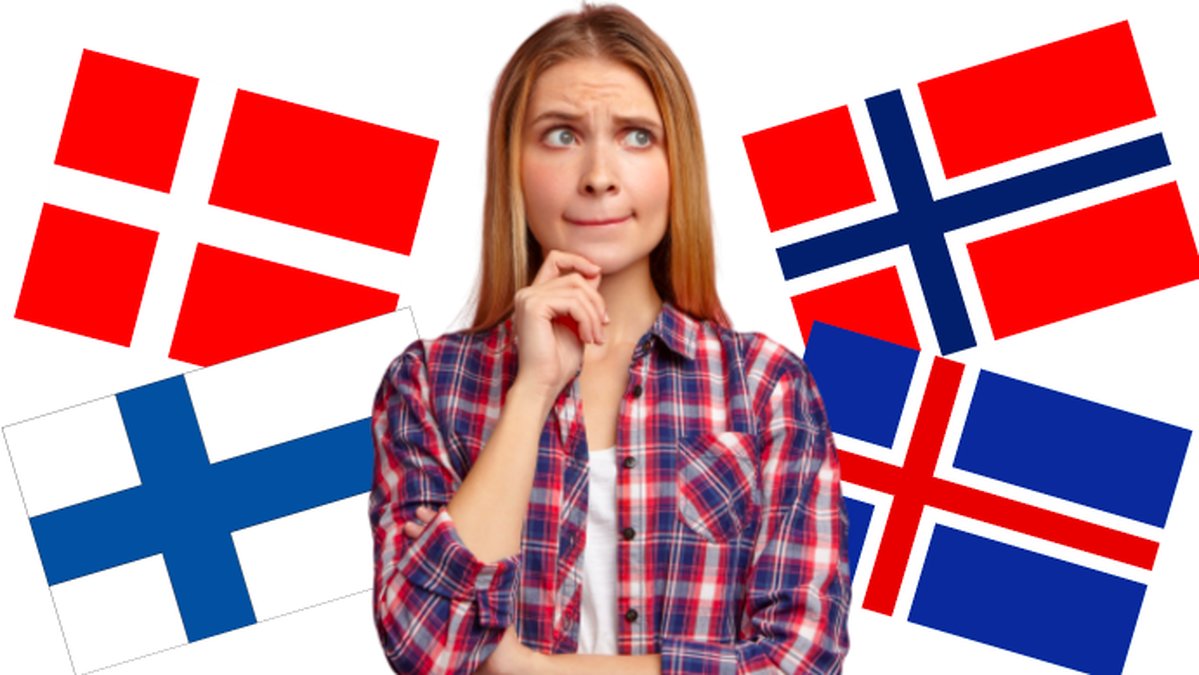 Vilket-nordiskt-sprak-ar-meningen-skriven-pa
