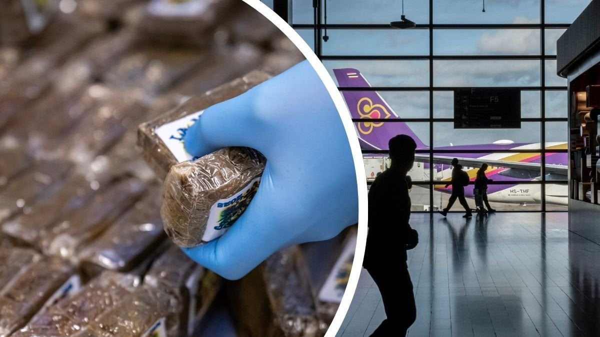 Cannabis vänster. Arlanda höger.