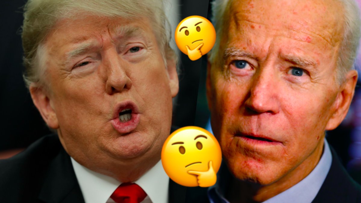 Har-Donald-Trump-eller-Joe-Biden-sagt-citatet