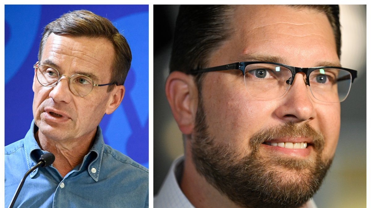 Sverigedemokraterna är näst största parti enligt DN/Ipsos.