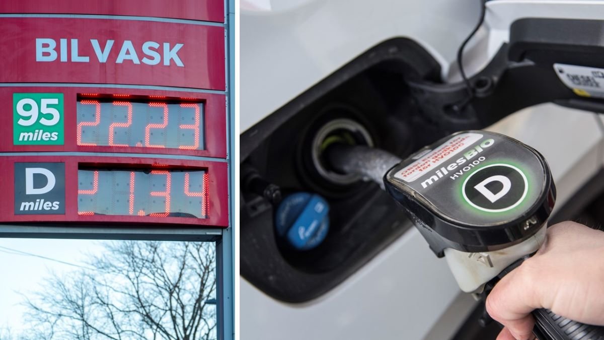 Bensin diesel biodiesel