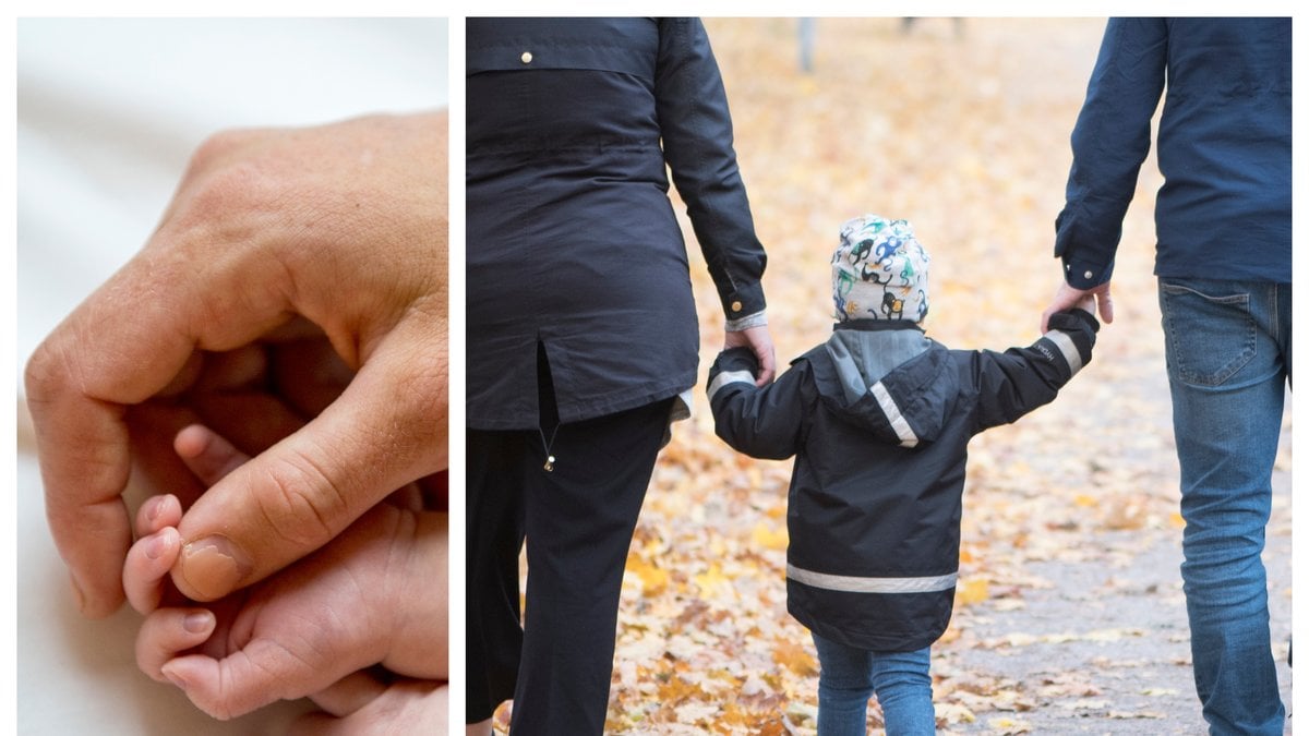 En ny rapport från TCO visar att fördelningen av föräldradagar mellan mammor och pappor är långt ifrån jämställd.