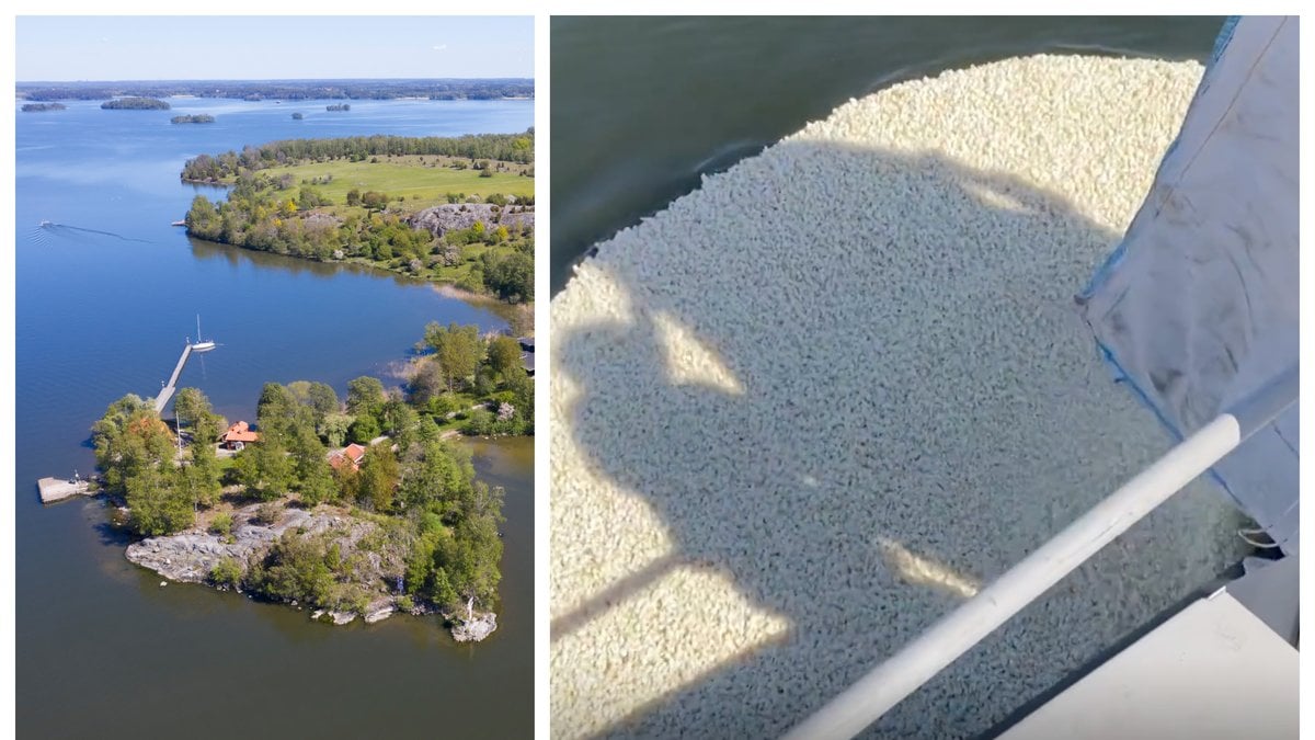 Popcorn släpptes i Mälaren som del av en övning.
