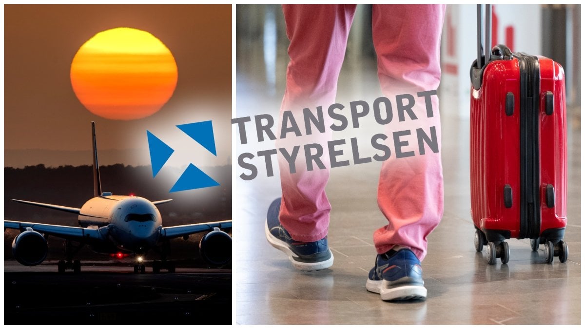 Flygplan i solnedgången och en man som går med en liten kabinväska