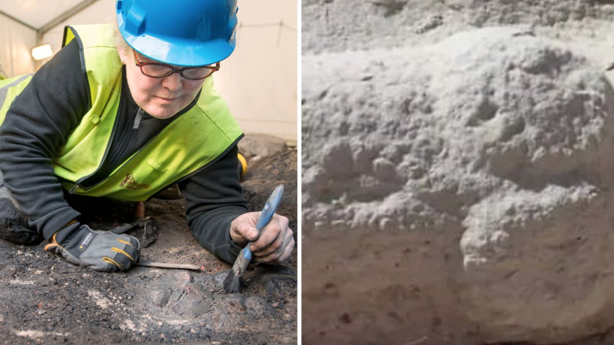 Genrebild och bild från utgrävningen.