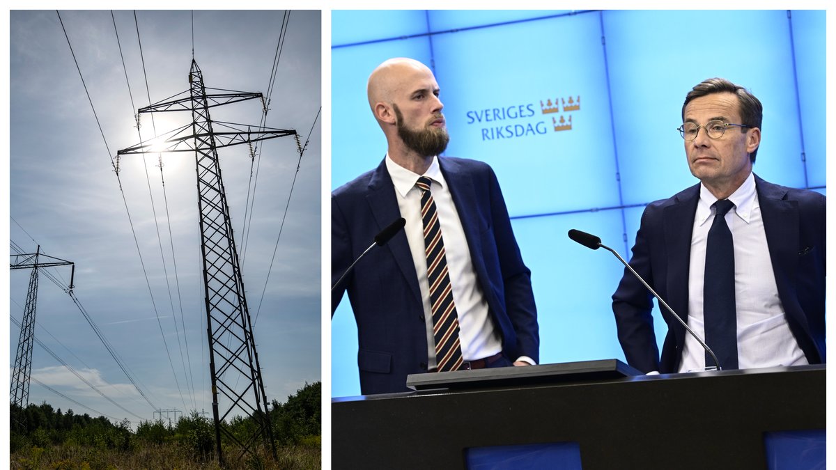 Moderaterna presenterade fem åtgärder mot elkrisen.