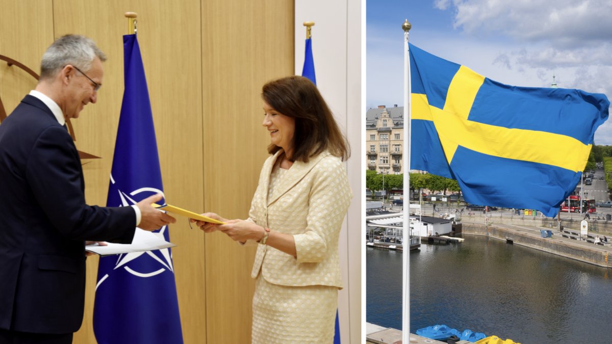 Samtliga Natoländer har skrivit under Sveriges ansökan, enligt uppgifter