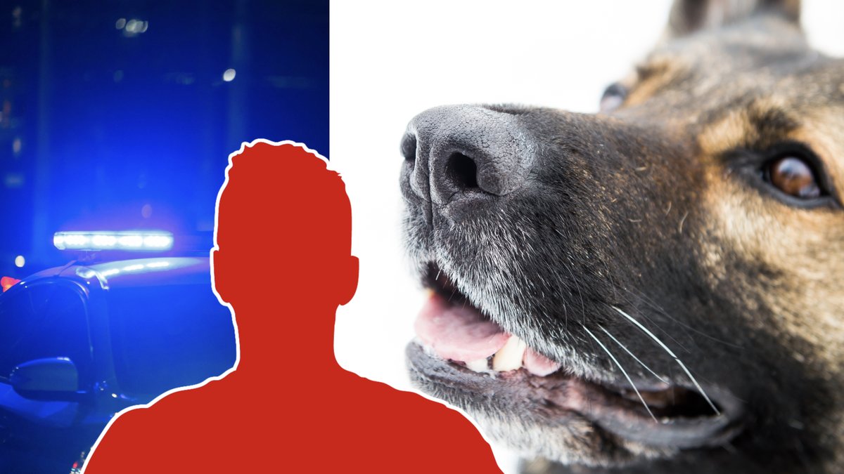 Hunden knivhöggs tolv gånger och dog senare av sina skador.