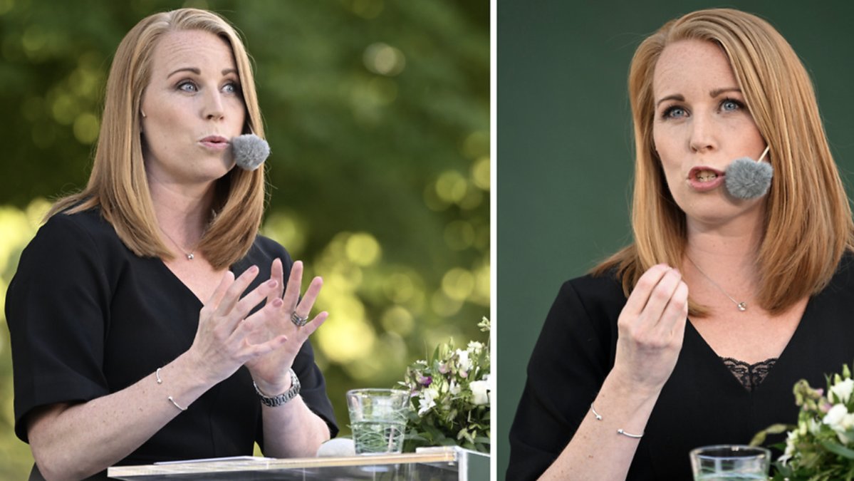 Annie Lööf var tilltänkt måltavlan.