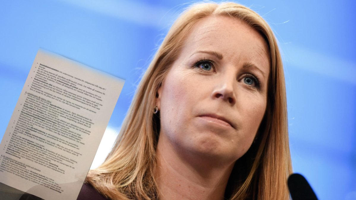 Annie Lööf, dokumentet