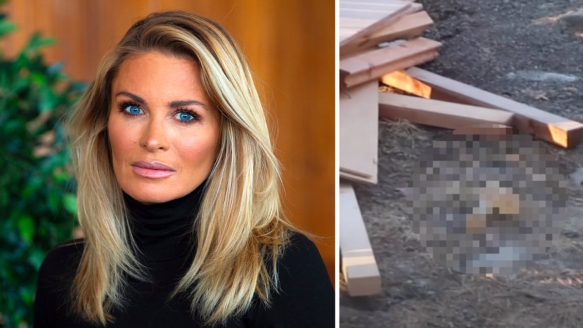 Carolina Gynning utsatt för mystisk dildoattack: Chockad