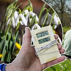 Bilder på en termometer, vårblommor och en äng med tjejer som har picknick.