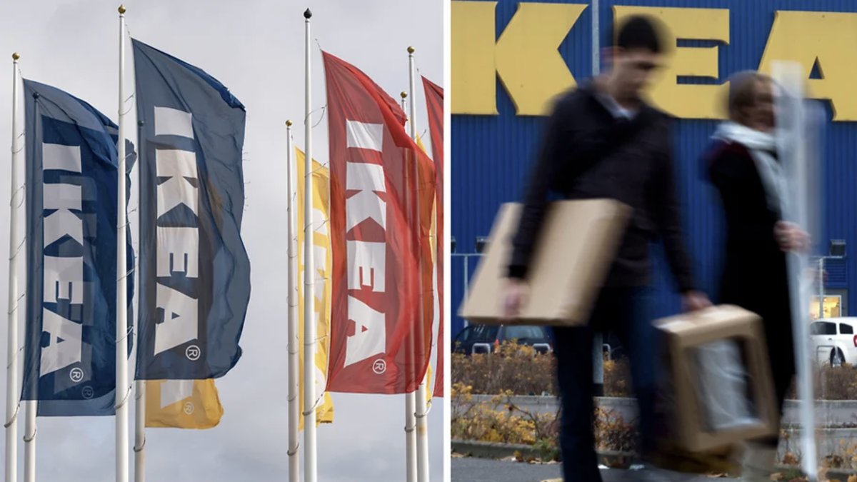 Kundens otäcka upptäckt i IKEA-möbeln: Invaderad av..