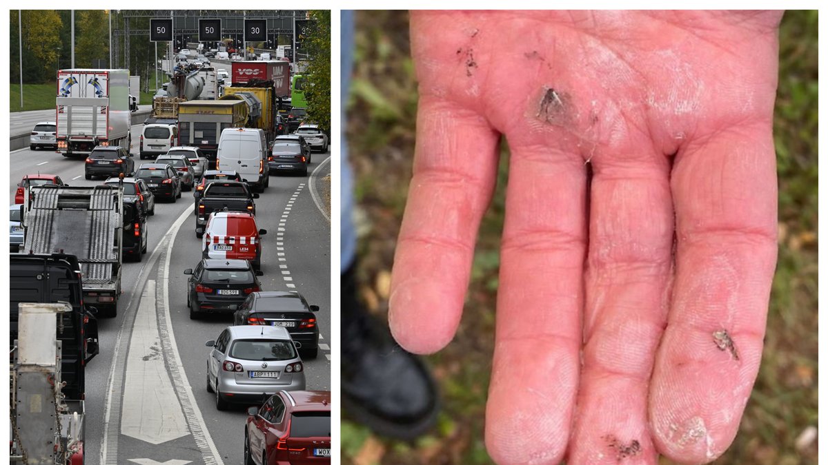 Tolv personer döms för klimatprotesten på E4:an.
