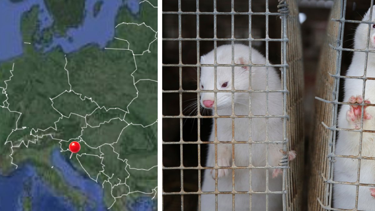 Muterade Cluster 5 sprids över Europa