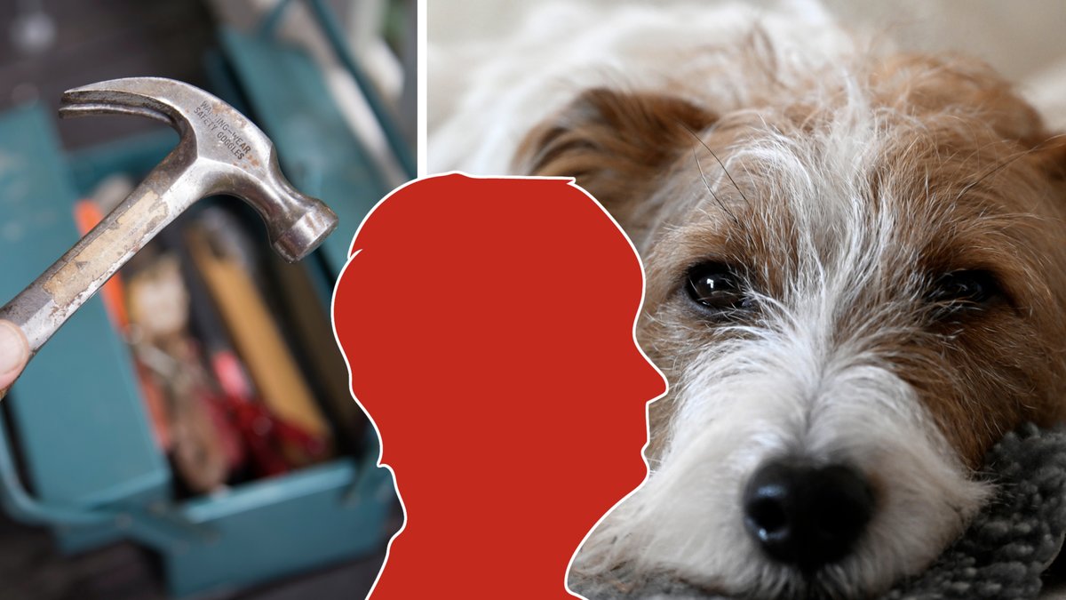 Kvinnan döms till samhällstjänst.