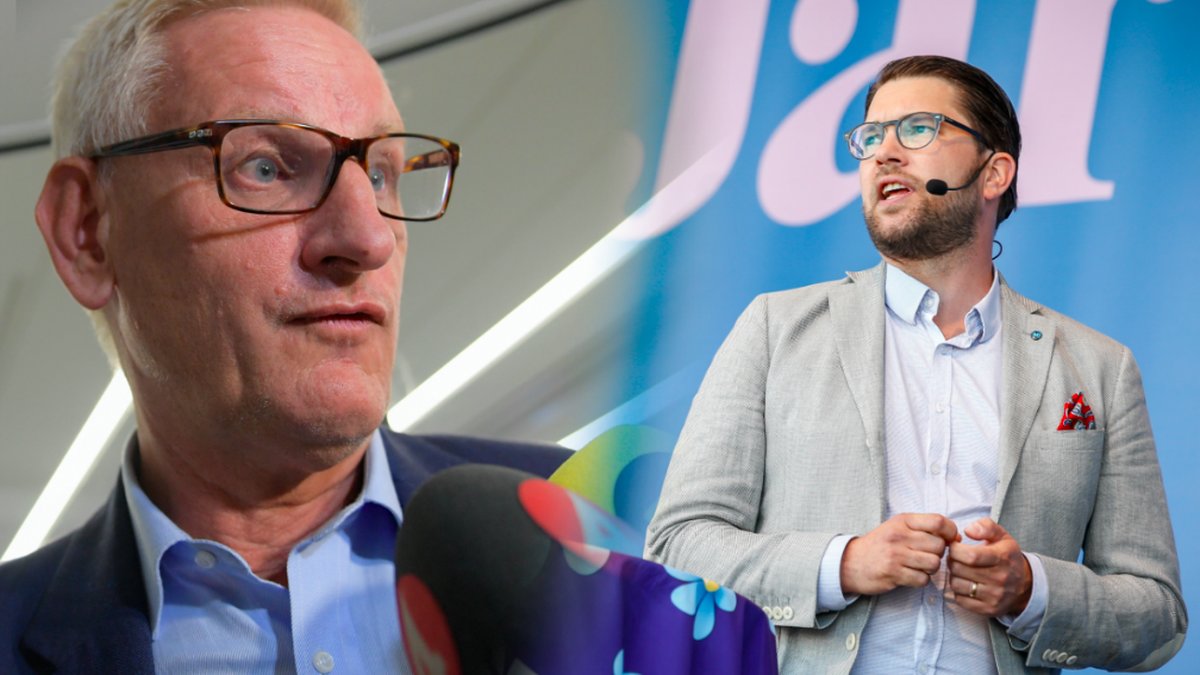 Moderaternas för detta partiledare Carl Bildt kallar SD:s politik farlig. 
