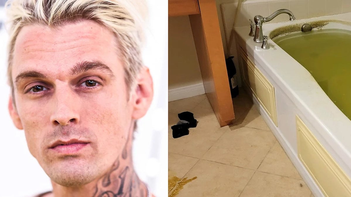 Aaron Carter