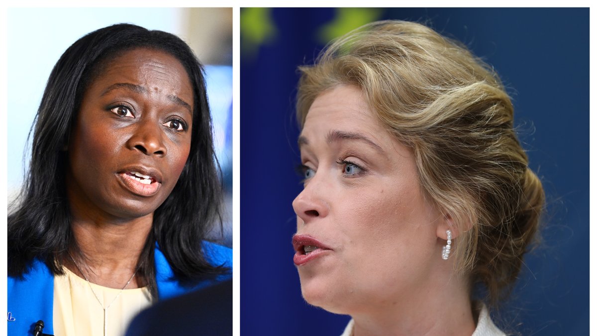 Annika Strandhäll (S) får hård kritik från oppositionen.