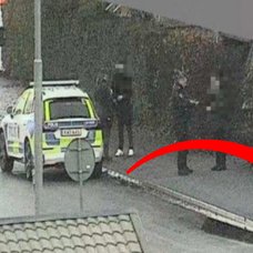 Joachim Posener gripen