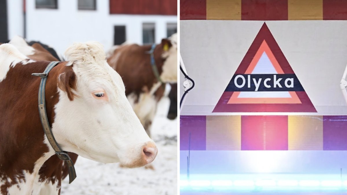 Räddningstjänst och polis larmades till branden klockan 16.25. Arkivbild.