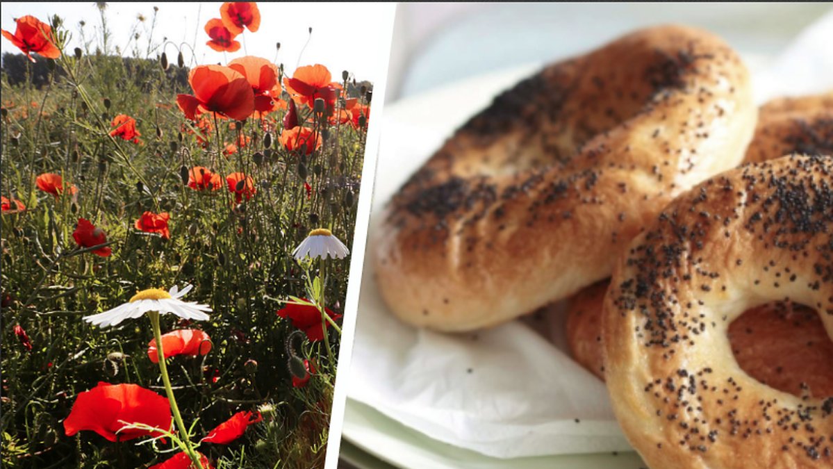 En amerikansk kvinna testades positivt för droger efter ha ätit en bagel.