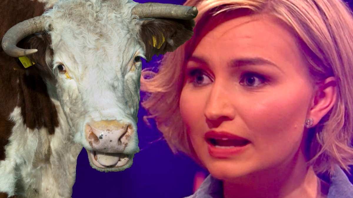 En fin kossa och Ebba Busch Thor