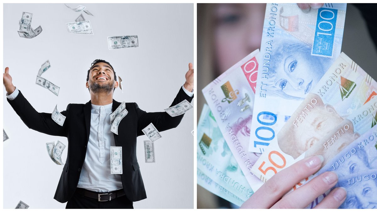 Så ser Sveriges typiska toppinkomsttagare ut