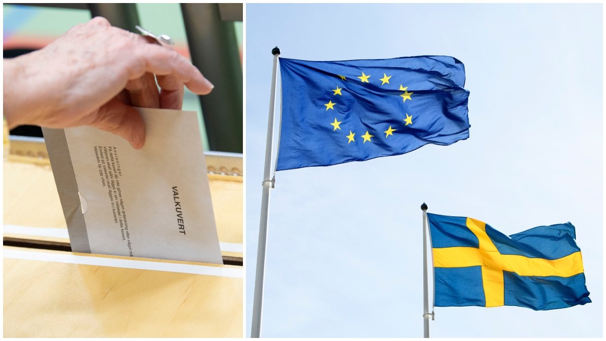 När är det EU-val, varför ska man rösta och när är nästa EU-val?