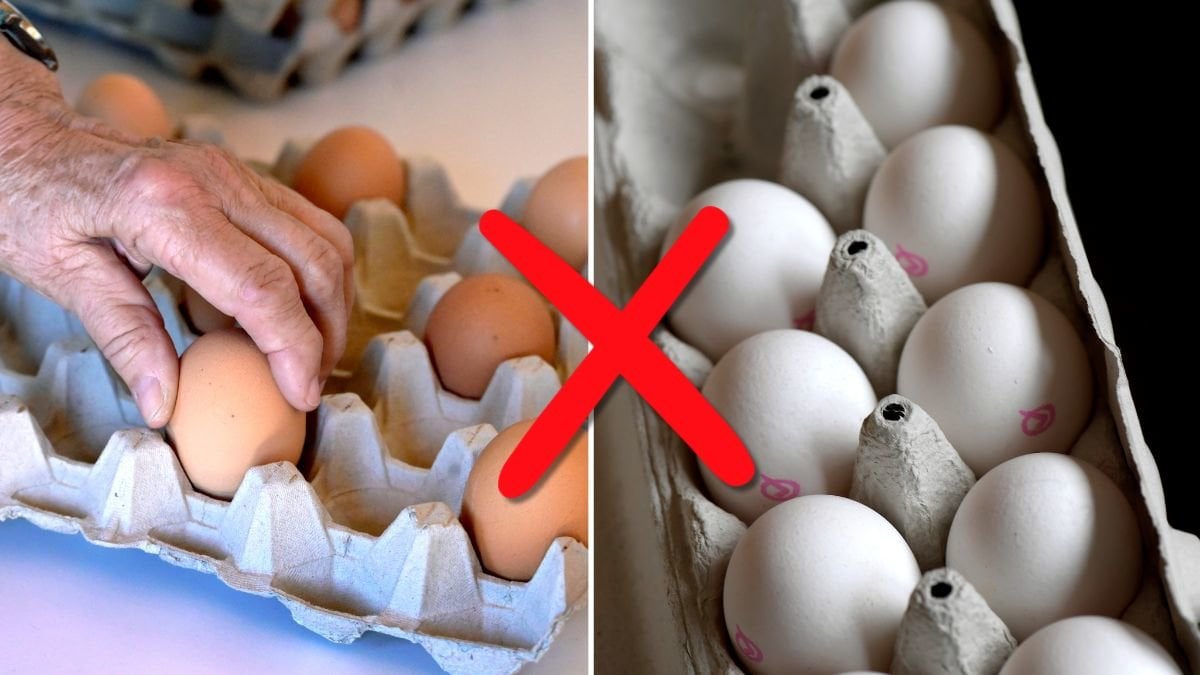 Hur förvarar du dina ägg?
