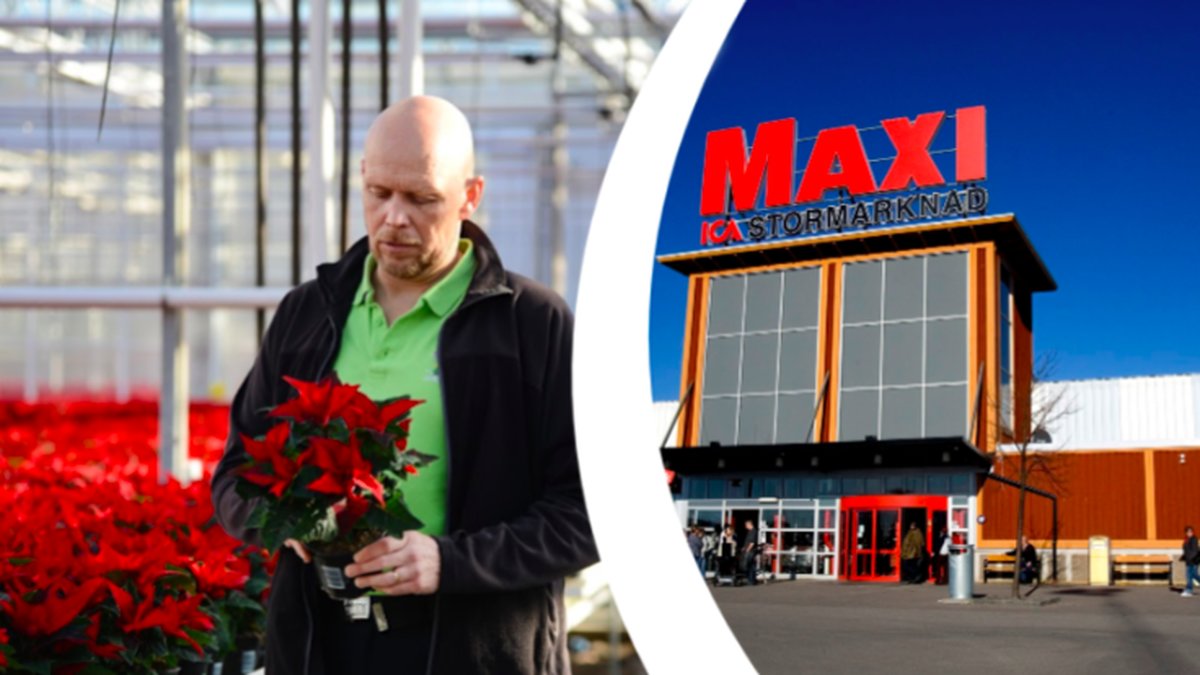 Här är jobbranscherna som står starka mitt i coronakrisen