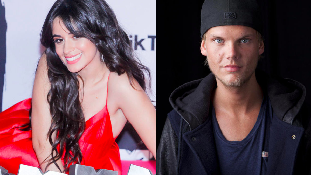  Tim Avicii Bergling hyllades under MTV-galan