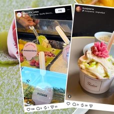 Bilder på Thelins prinsesstårta-glass.