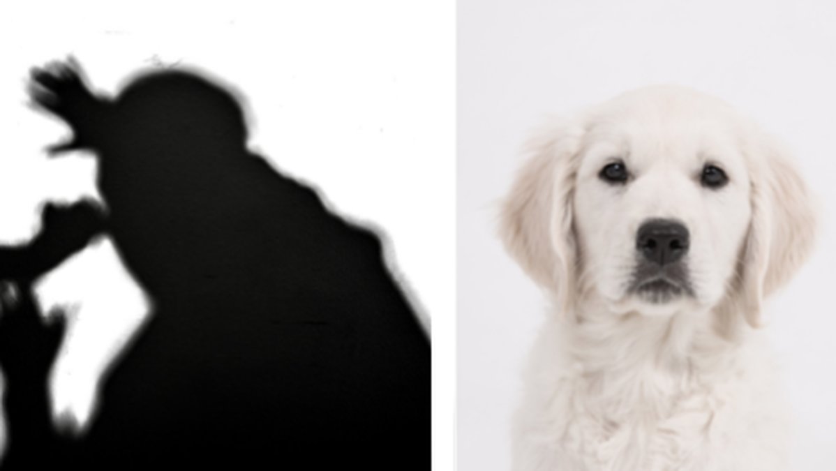 Eivor-Nilsson-51-misshandlad-och-ranad-pa-valpar