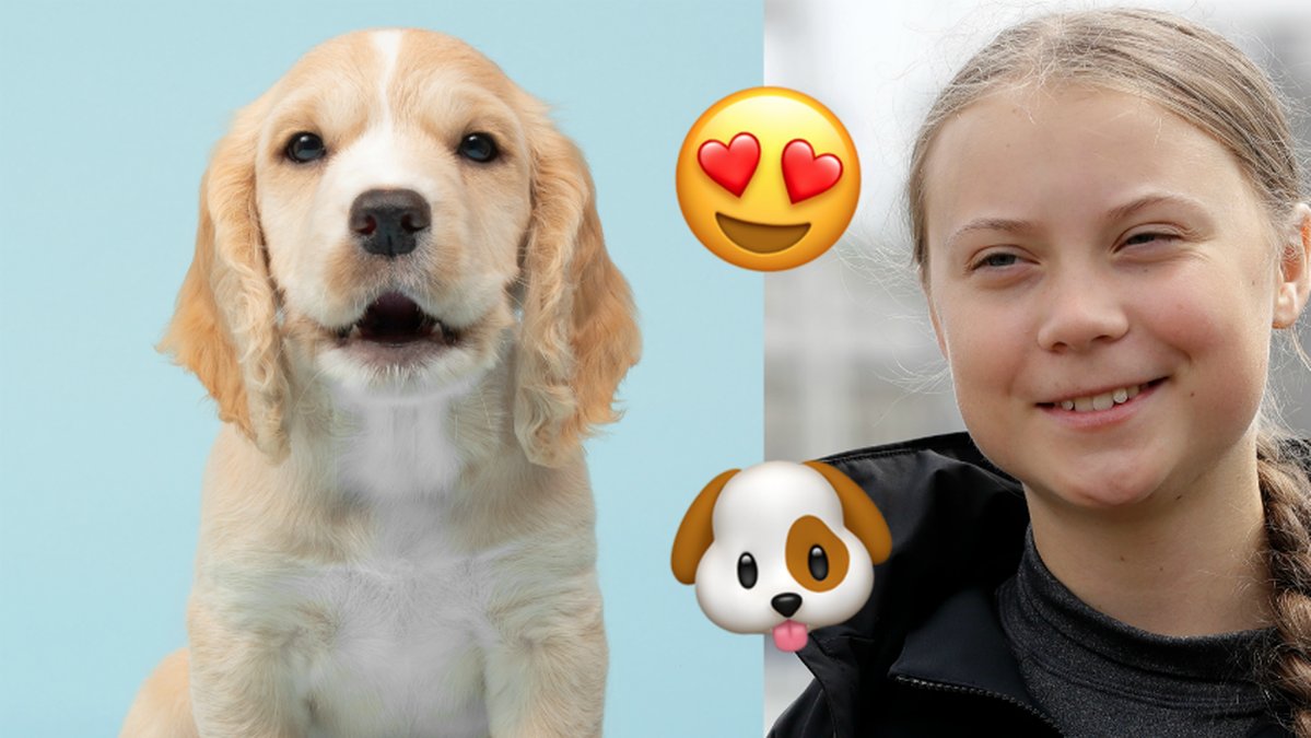 Topp tio vanligaste valpnamnen i Sverige 2019.