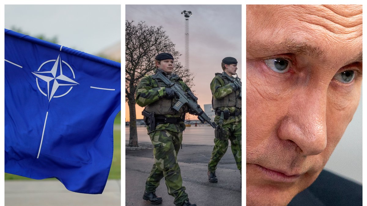 Konflikten mellan Ryssland och Ukraina har trappats upp.