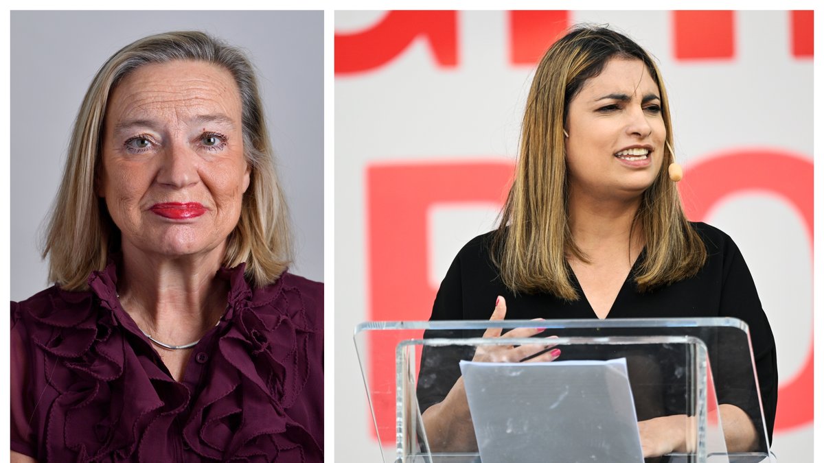 Vänsterpartiet har 27 ledamöter i riksdagen – vem tjänar mest?