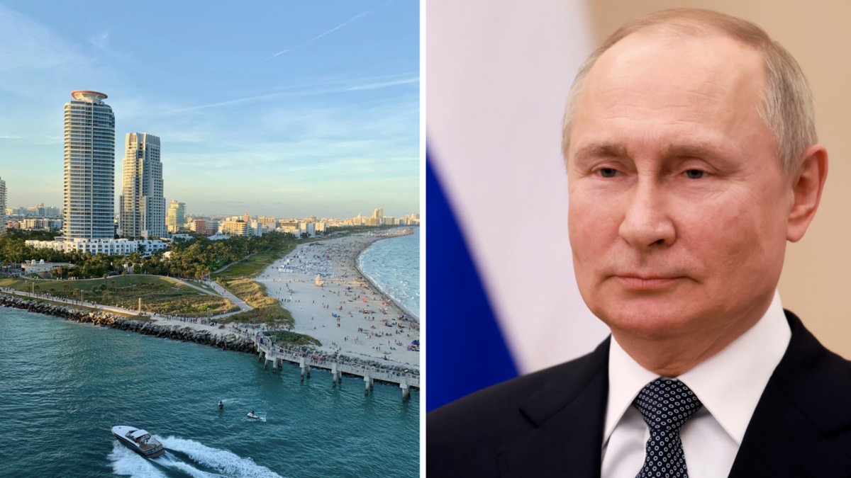 Vladimir Putins oligarker