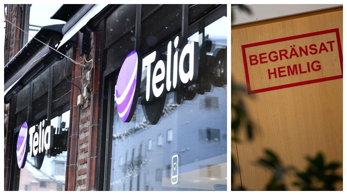 Iran Sverige Telia Diskriminering Jobb Anställning ALi