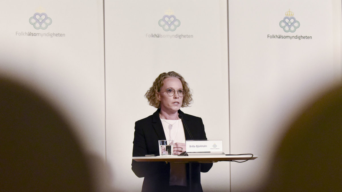 Britta Björkholm