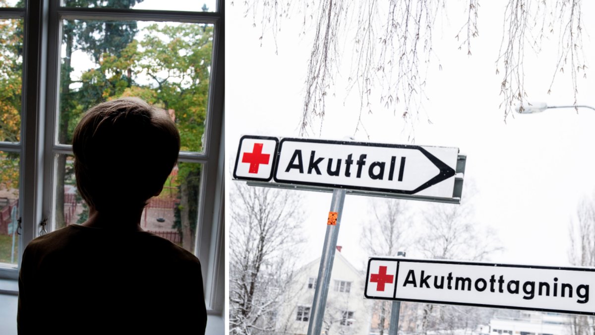 Genrebild