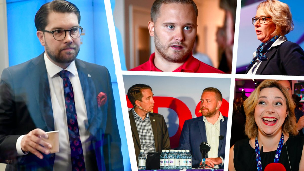 Åkesson, Vinge, Herrstedt, Jomshof, Karlsson, Bieler. Montage