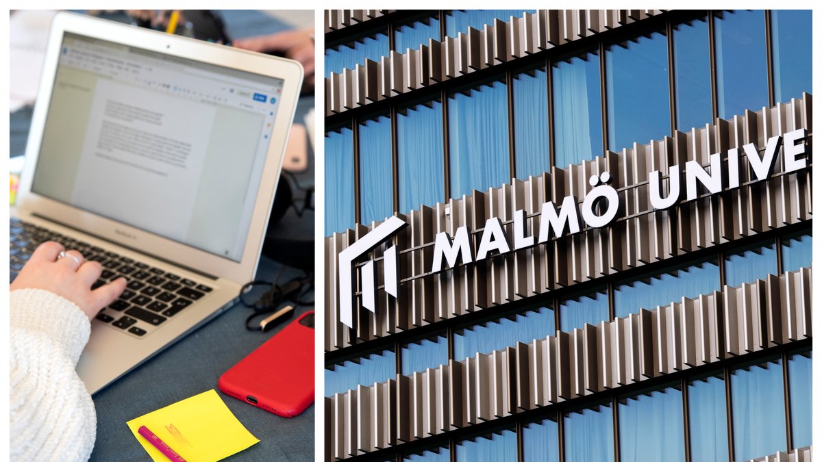 En fuskanklagad student vid Malmö universitet frias i förvaltningsrätten.