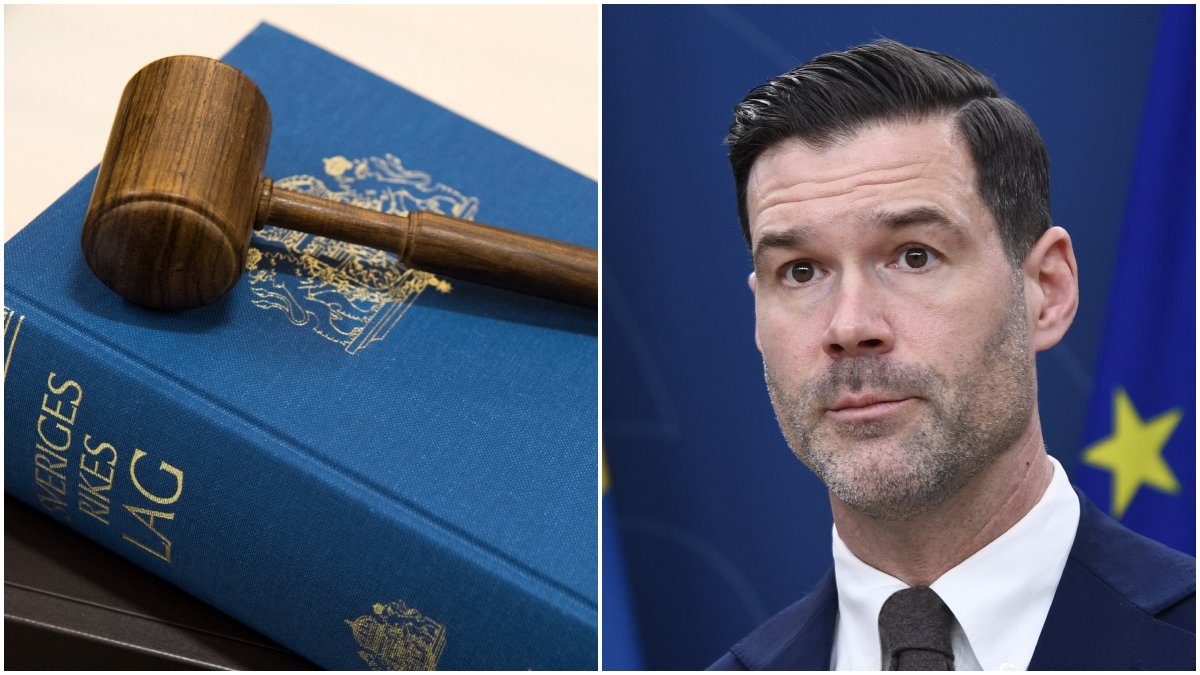 Migrationsminister Johan Forssell (M).
