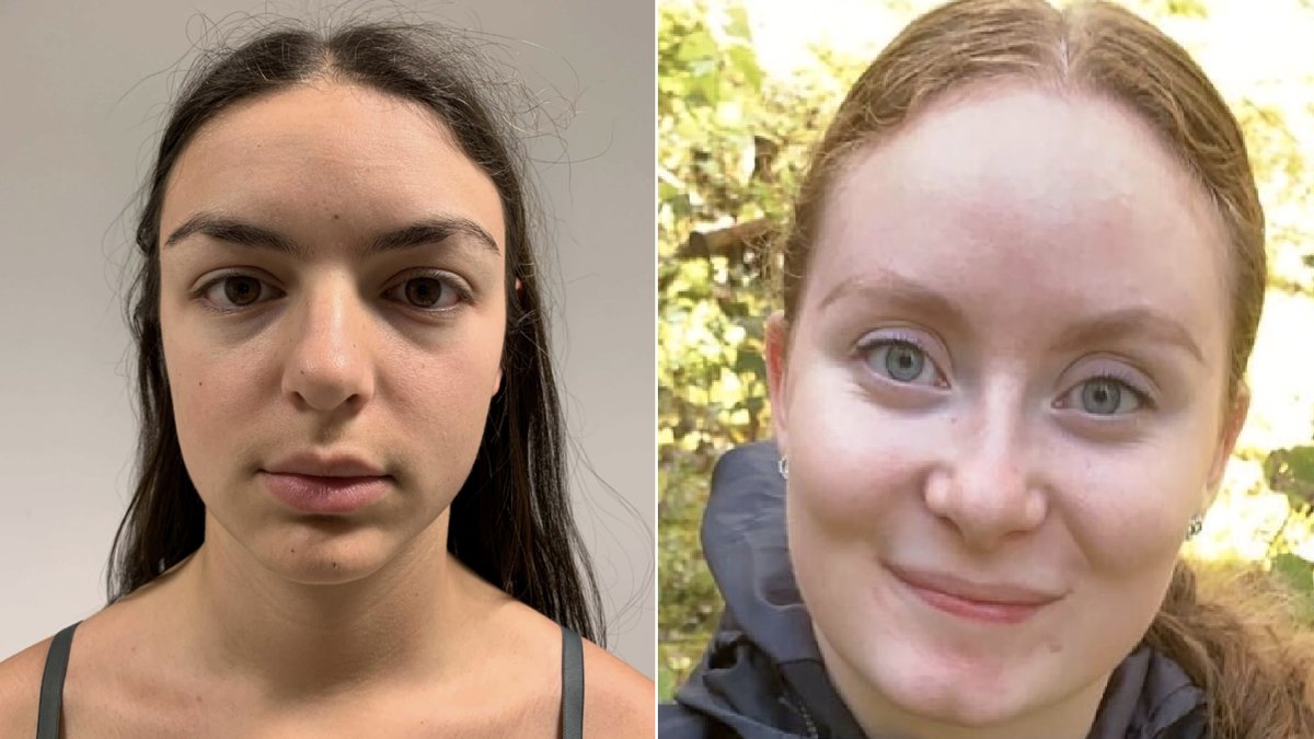 Johanna Leshem Jansson dömdes till livstids fängelse för mordet på Tove.