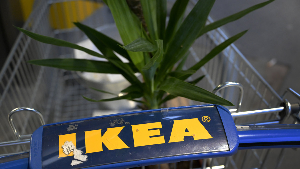Aldrig tidigare har Ikea Sverige sålt för så mycket. 