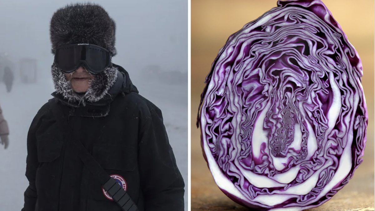 Jakutskbor promenerar på en snötäckt gata i Jakutsk i östra Ryssland.