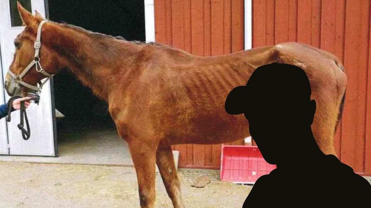 Man-doms-for-djurplageri-for-att-ha-svultit-hast