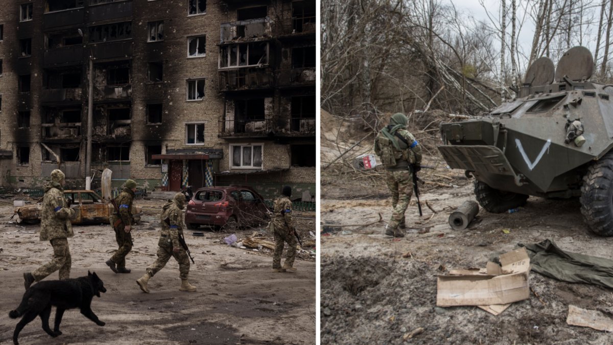 Kriget i Ukraina 